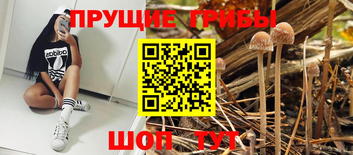 Шали  наркота  Вход с VPN  Псилоцибиновые грибы прущие грибы 